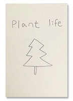 [재입고] Plant Life