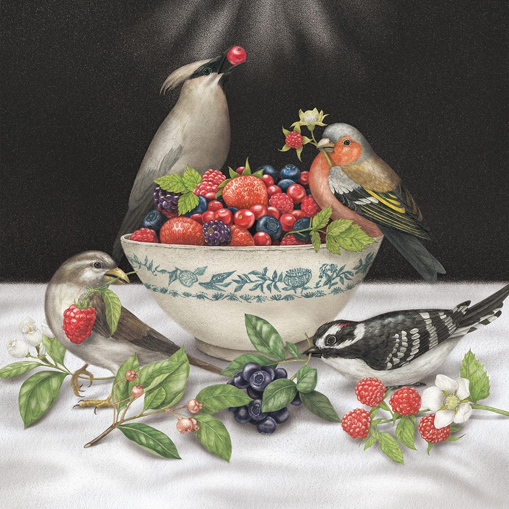 [3차 입고] [LP] Berries ·  Sparrows