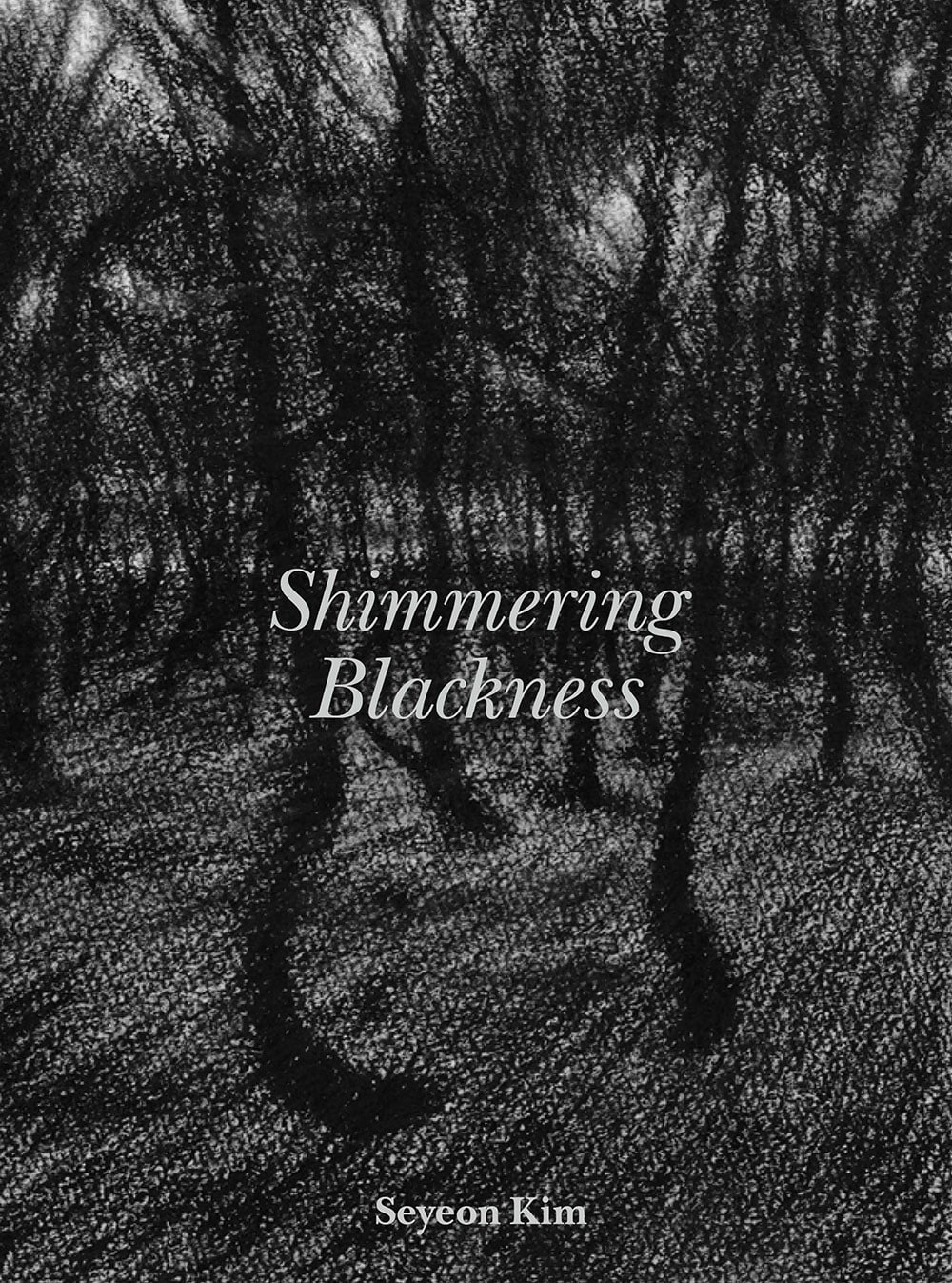 [3차 입고] Shimmering Blackness · 김세연